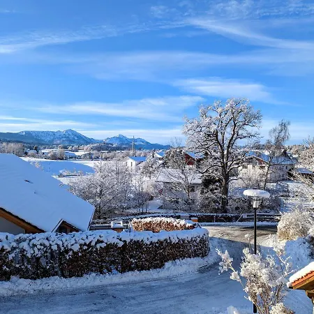 Suedfluegel Im Chiemgau Apartment Traunstein Exterior photo